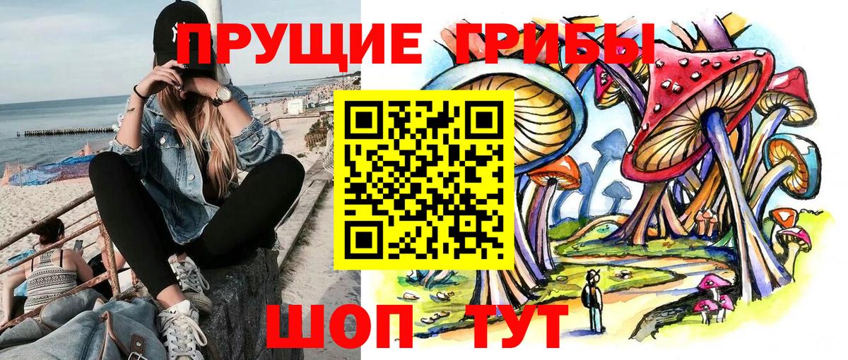 Псилоцибиновые грибы MAGIC MUSHROOMS  Галлюциногенные грибы Psilocybe  Вход с VPN  Тайшет 