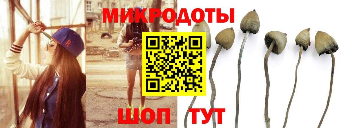 Галлюциногенные грибы ЛСД Тайшет